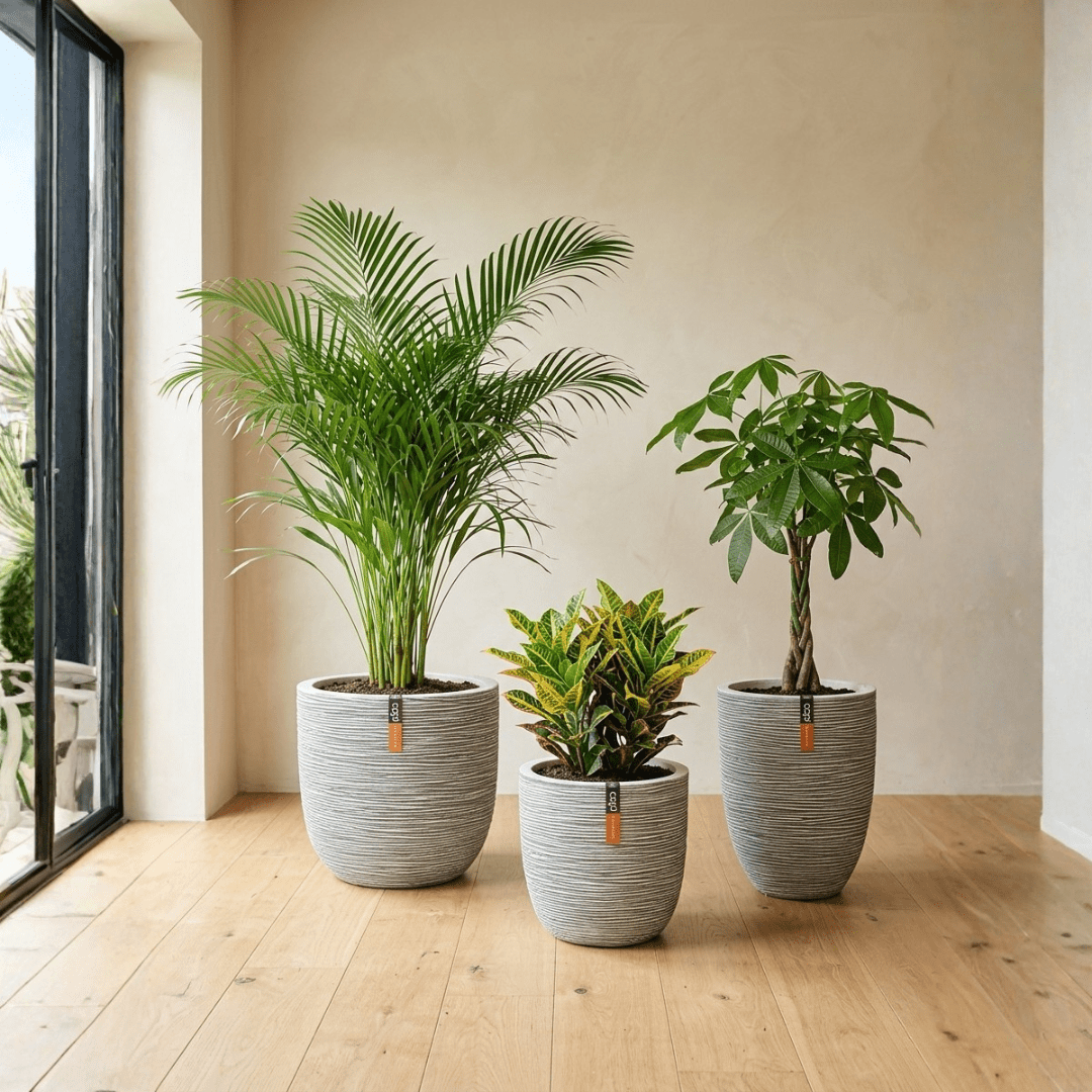 Pet Friendly Trio - Bostan Al Jazeera