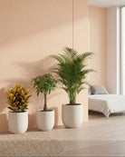 Three potted plants in a modern room with a bed and neutral walls.