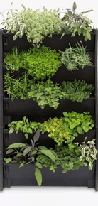 Plant Box Vertical Green Wall - Bostan Al Jazeera