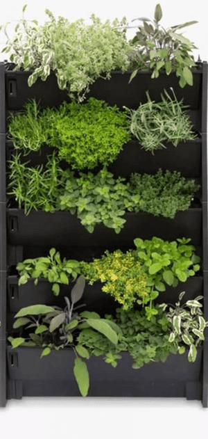 Plant Box Vertical Green Wall - Bostan Al Jazeera