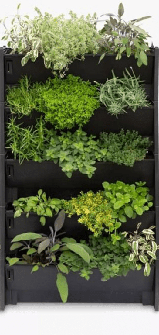 Plant Box Vertical Green Wall - Bostan Al Jazeera