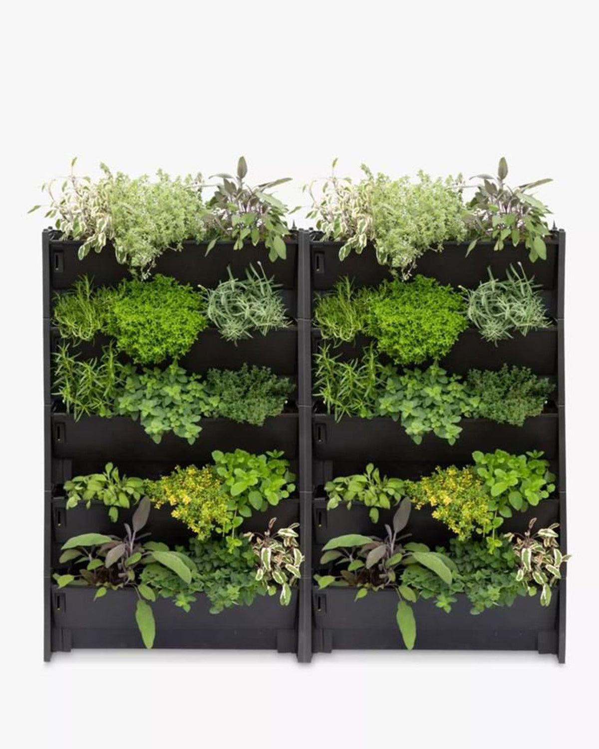 Plant Box Vertical Green Wall - Bostan Al Jazeera