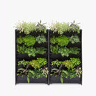 Plant Box Vertical Green Wall - Bostan Al Jazeera