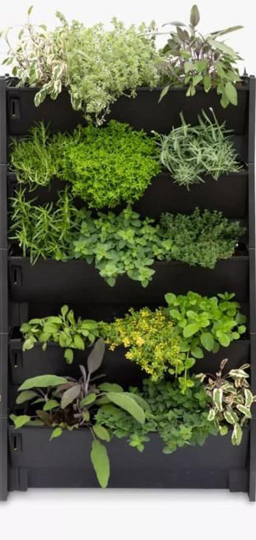 Plant Box Vertical Green Wall