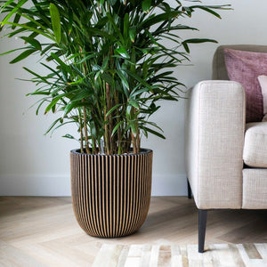 Planter Ball Groove NL - Bostan Al Jazeera