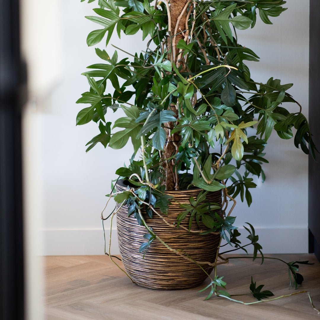 Planter Ball Rib NL - Bostan Al Jazeera