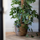 Planter Ball Rib NL - Bostan Al Jazeera