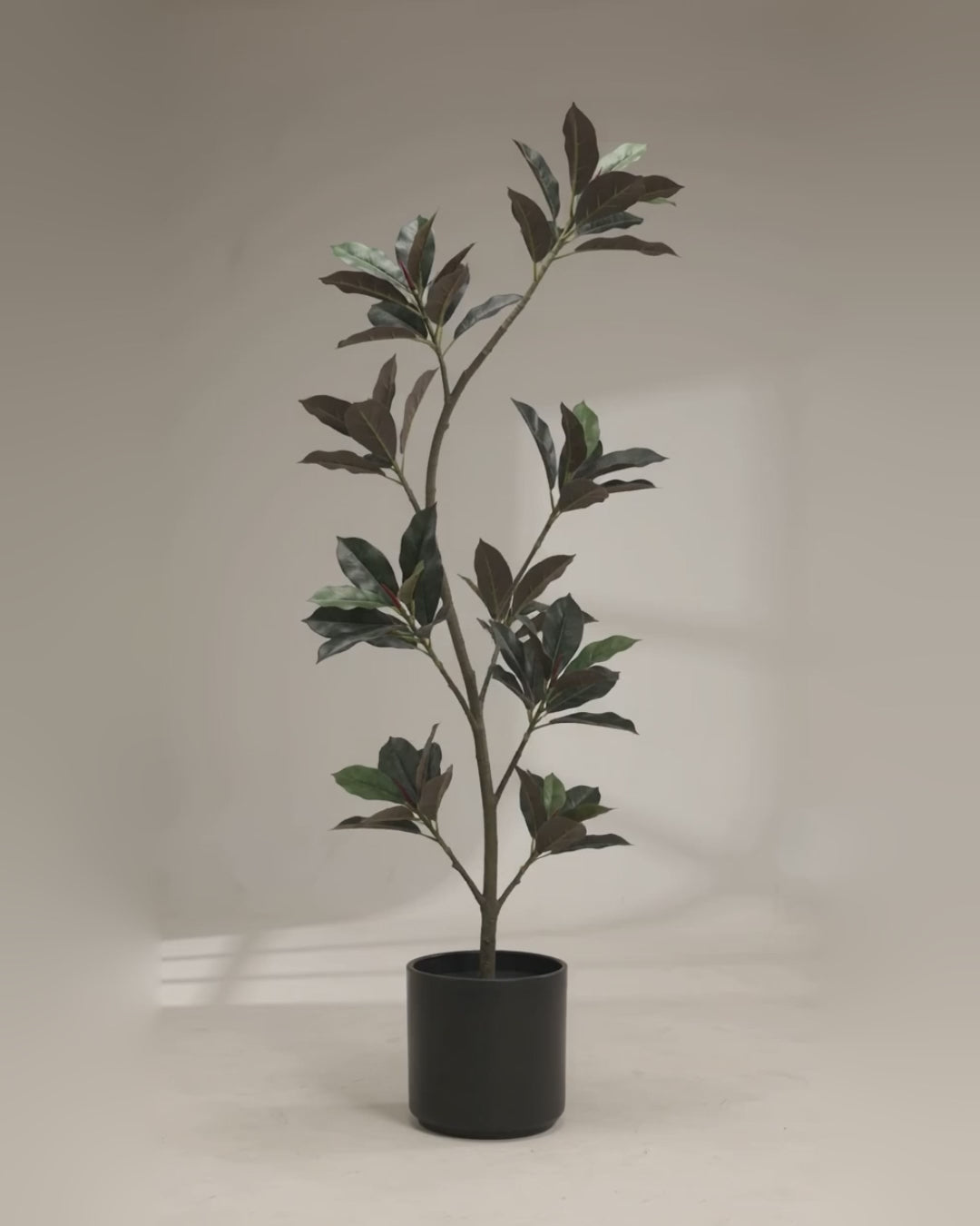 Artificial Ficus Elastica 180cm video
