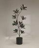 Artificial Ficus Elastica 180cm video