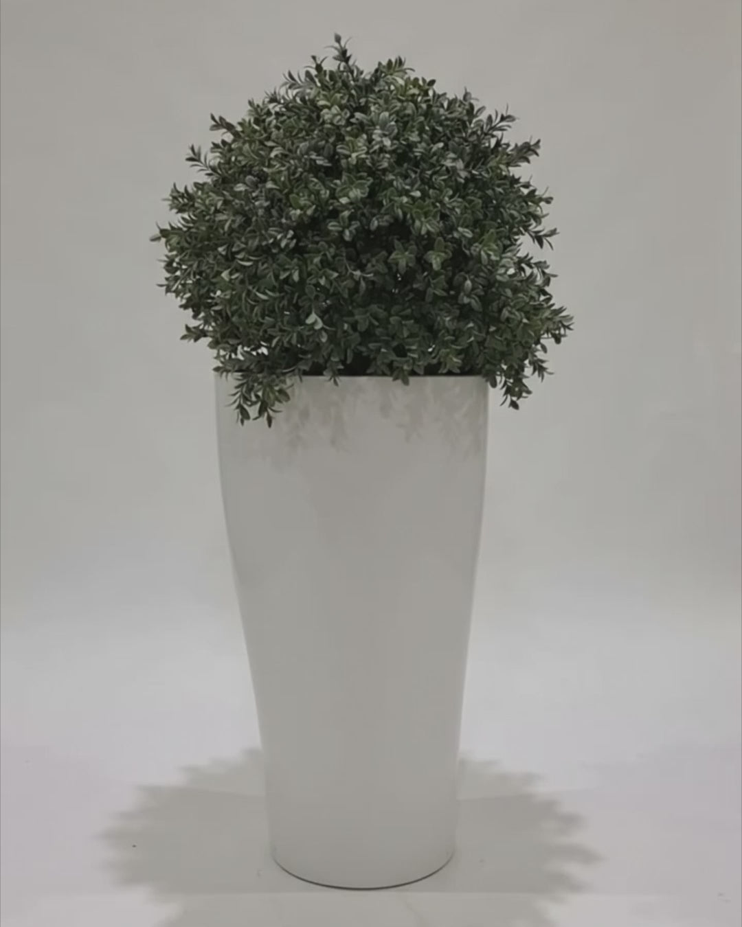 Artificial Box Wood Ball in VASO Pot video