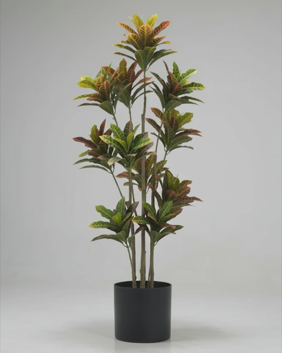 Artificial Croton Multi Stems 150cm video
