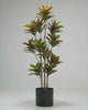 Artificial Croton Multi Stems 150cm video