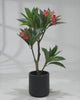 Artificial Plumeria Rubra 90cm video