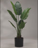 Artificial Traveller Palm 160cm video