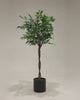 Artificial Ficus Benjamina 160cm video