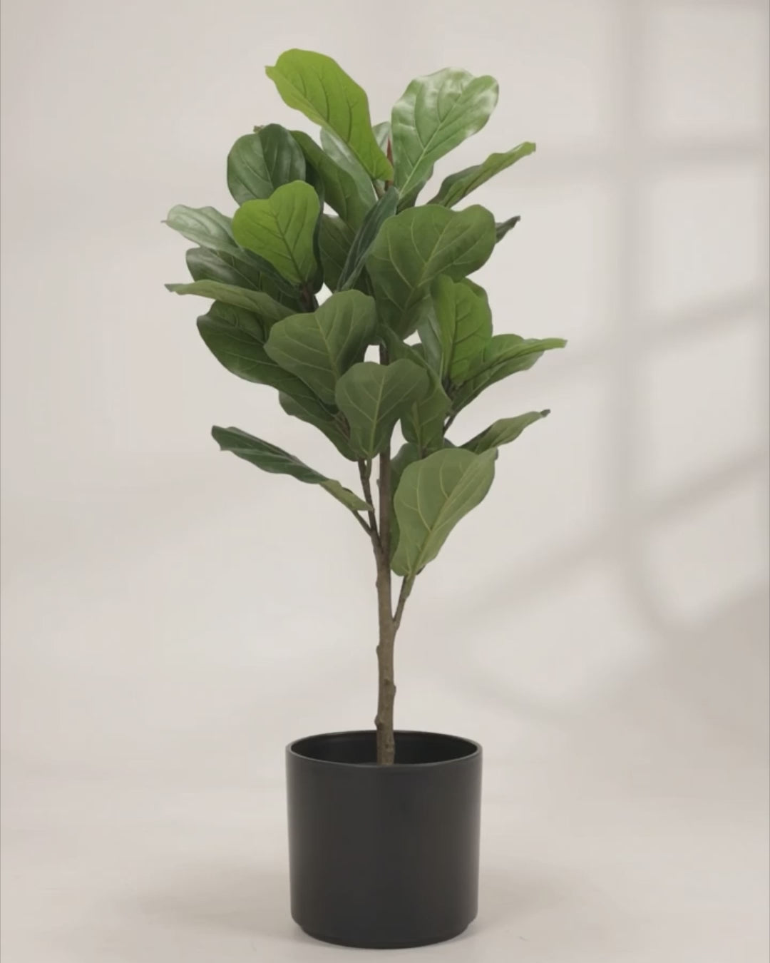 Artificial Fiddle Leaf Fig Tree 1T 28 leaves 100cm ht video