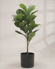 Artificial Fiddle Leaf Fig Tree 1T 28 leaves 100cm ht video