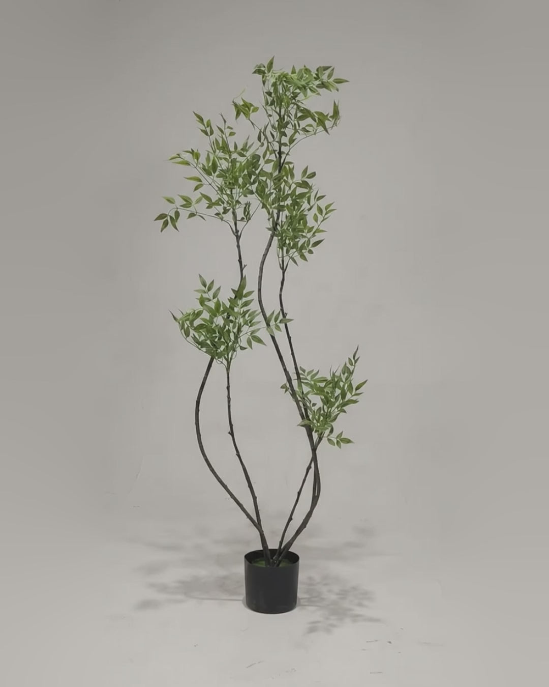 Artificial Azadirachta Indica 160cm video