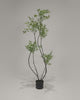 Artificial Azadirachta Indica 160cm video