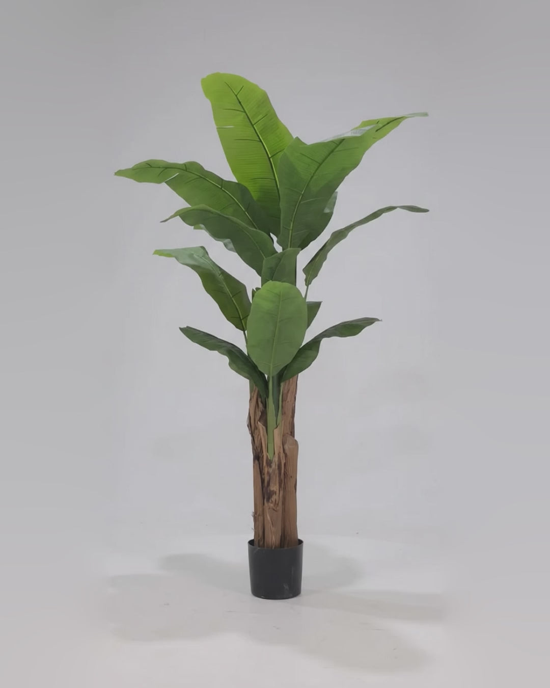Artificial Banana Tree 190 cm video