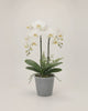 Artificial Potted Orchid video