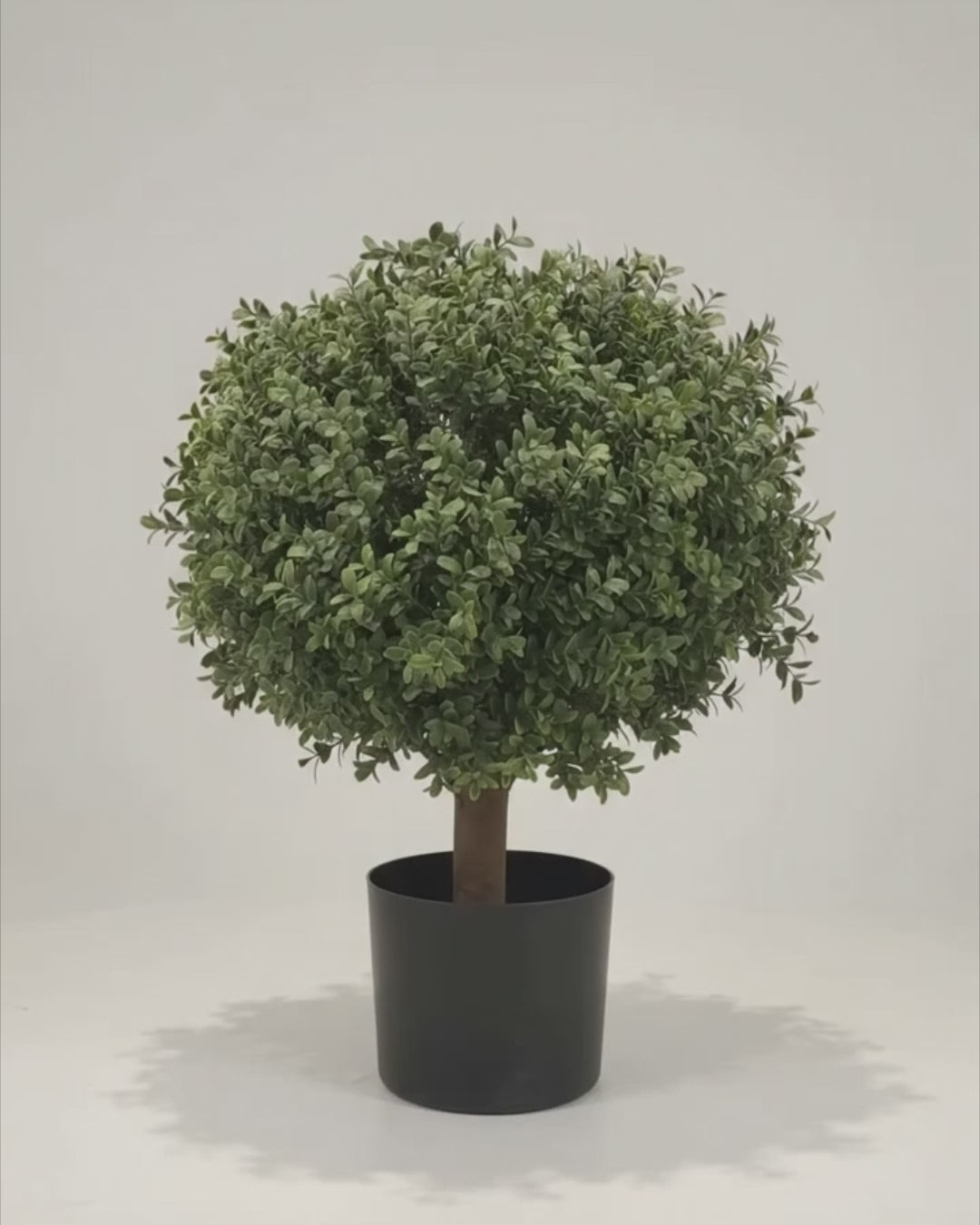 Artificial Boxwood Ball UV video