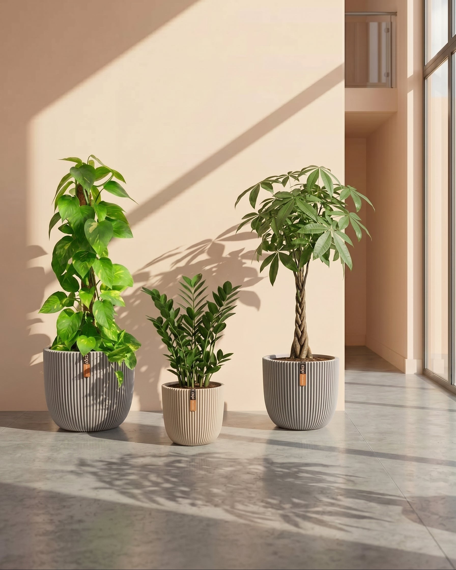 Three potted plants in gray pots on a tiled floor with a neutral wall background