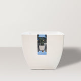 Seinna Self Watering Pot - Bostan Al Jazeera