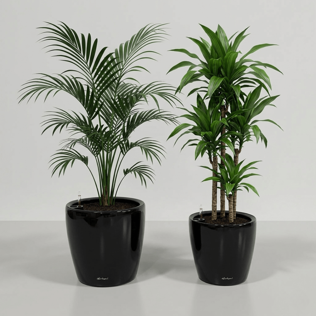 Self - watering Pot HG - 3104A - Bostan