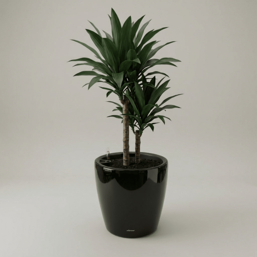 Self - watering Pot HG - 3104A - Bostan