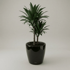 Self - watering Pot HG - 3104A - Bostan