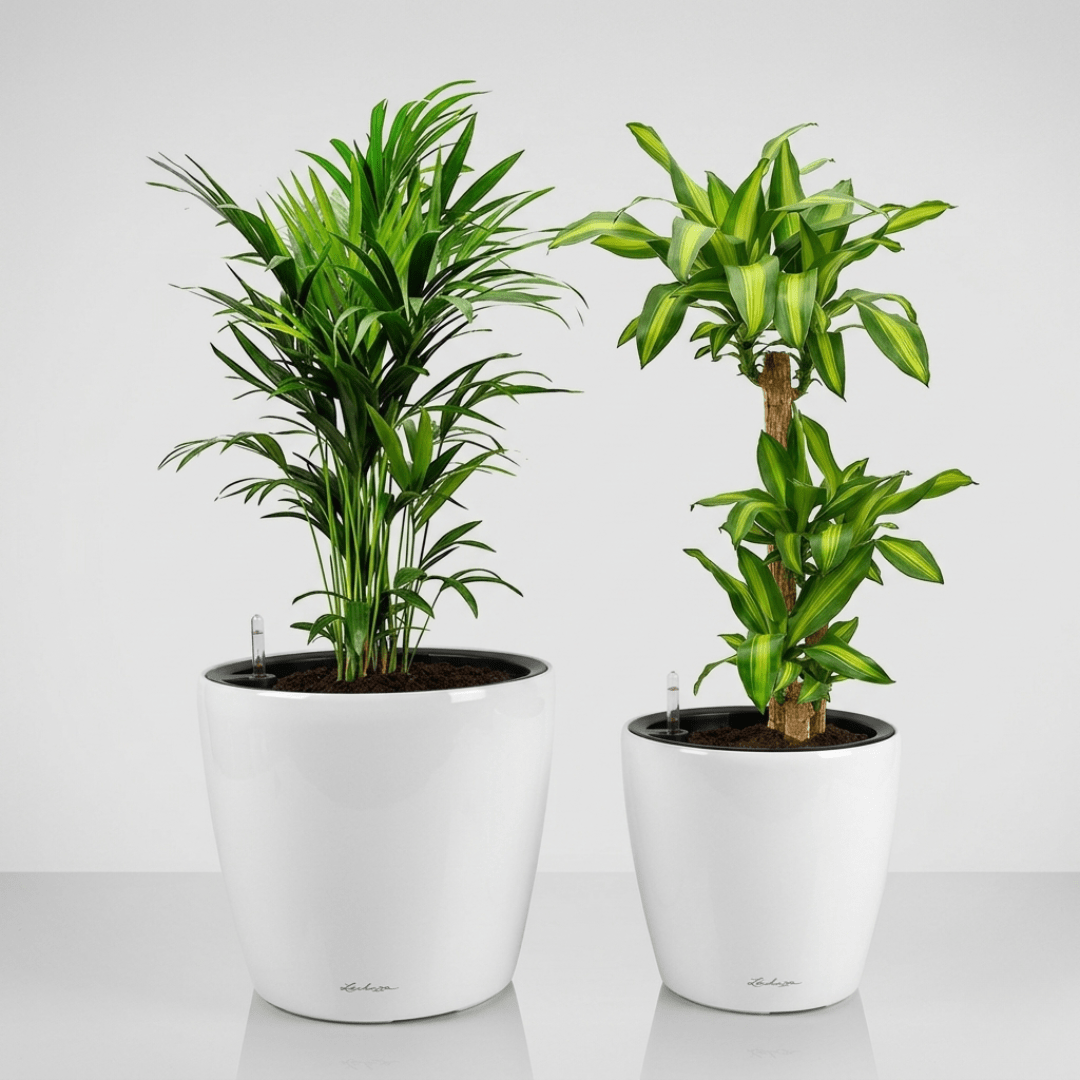 Self - watering Pot HG - 3104A - Bostan