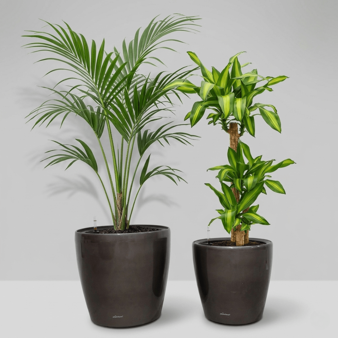 Self - watering Pot HG - 3104A - Bostan