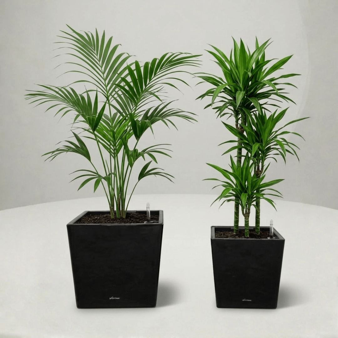 Self - watering Pot HG - 3702 - Bostan
