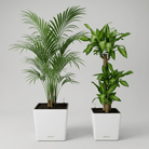 Self - watering Pot HG - 3702 - Bostan