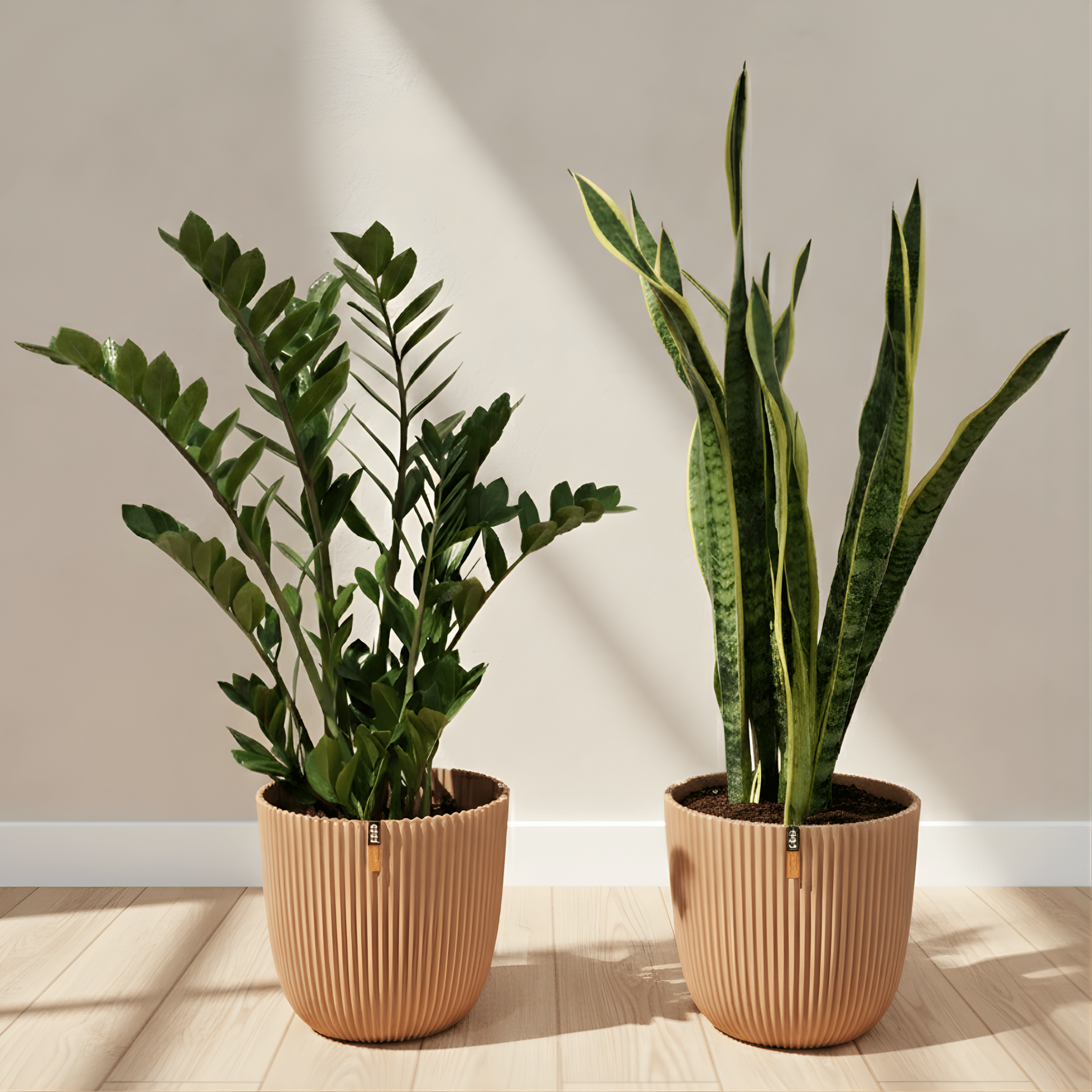 Small Beginner Set - Bostan Al Jazeera