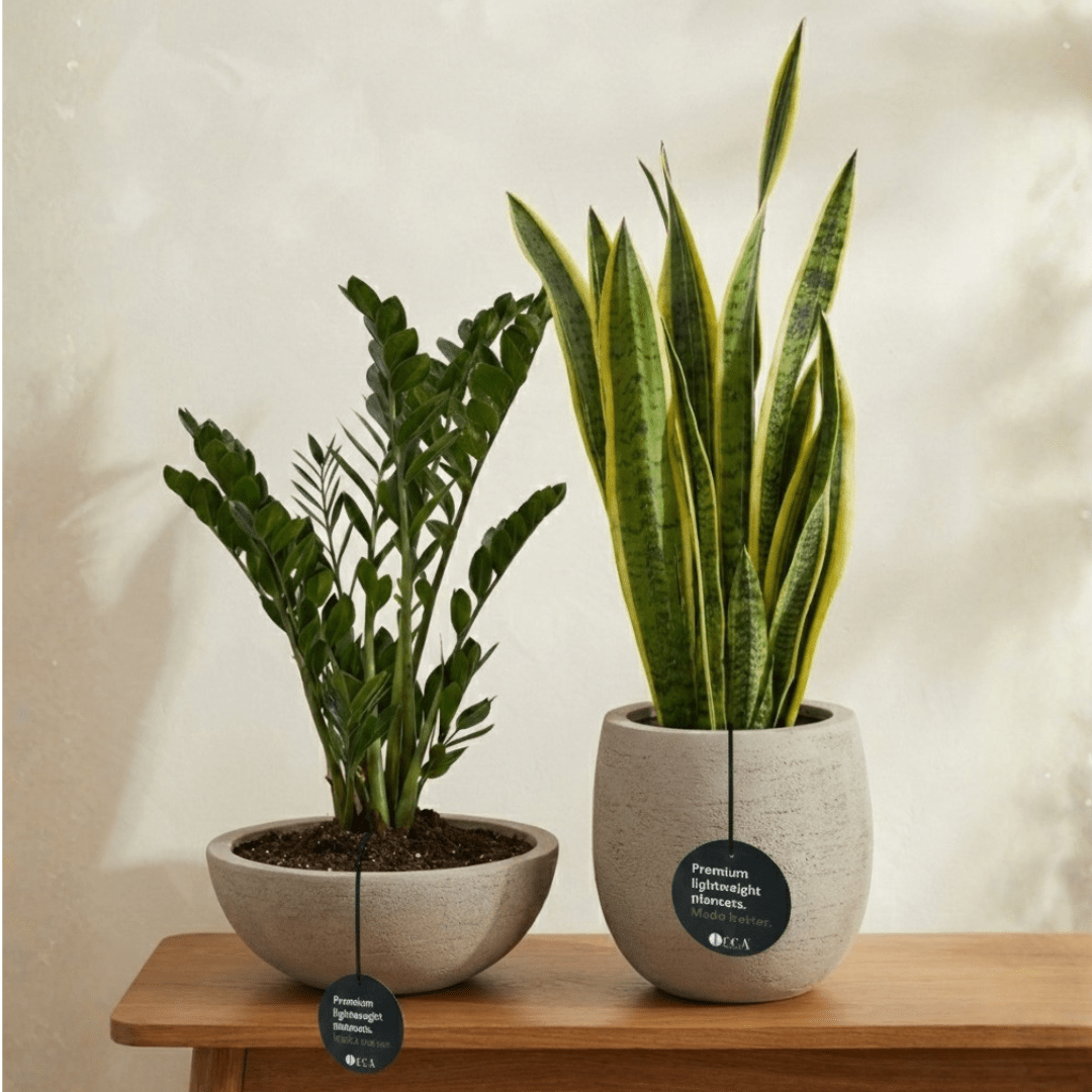 Small Beginner Set - Bostan Al Jazeera