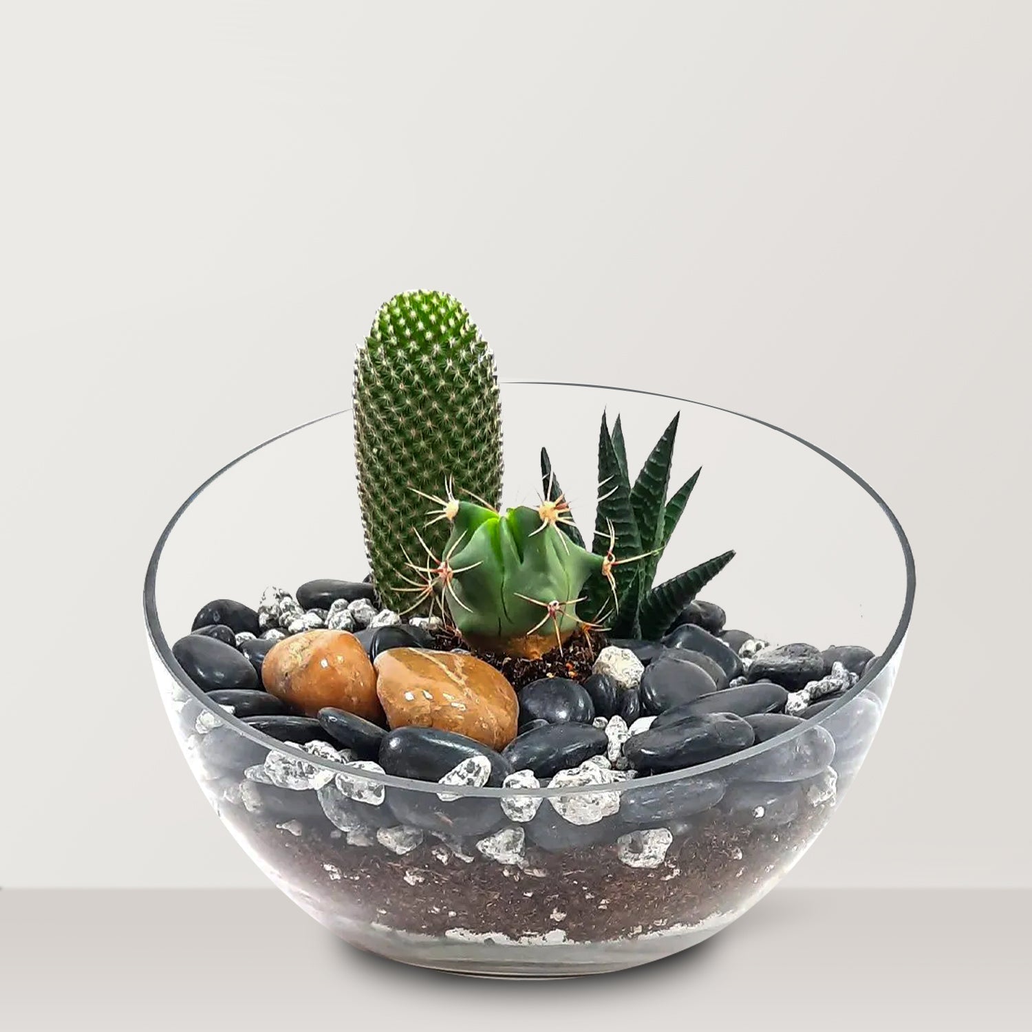 Terrarium 2 - Bostan Al Jazeera