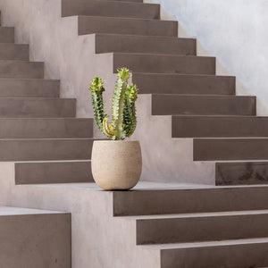 Terreno Balloon - Bostan Al Jazeera