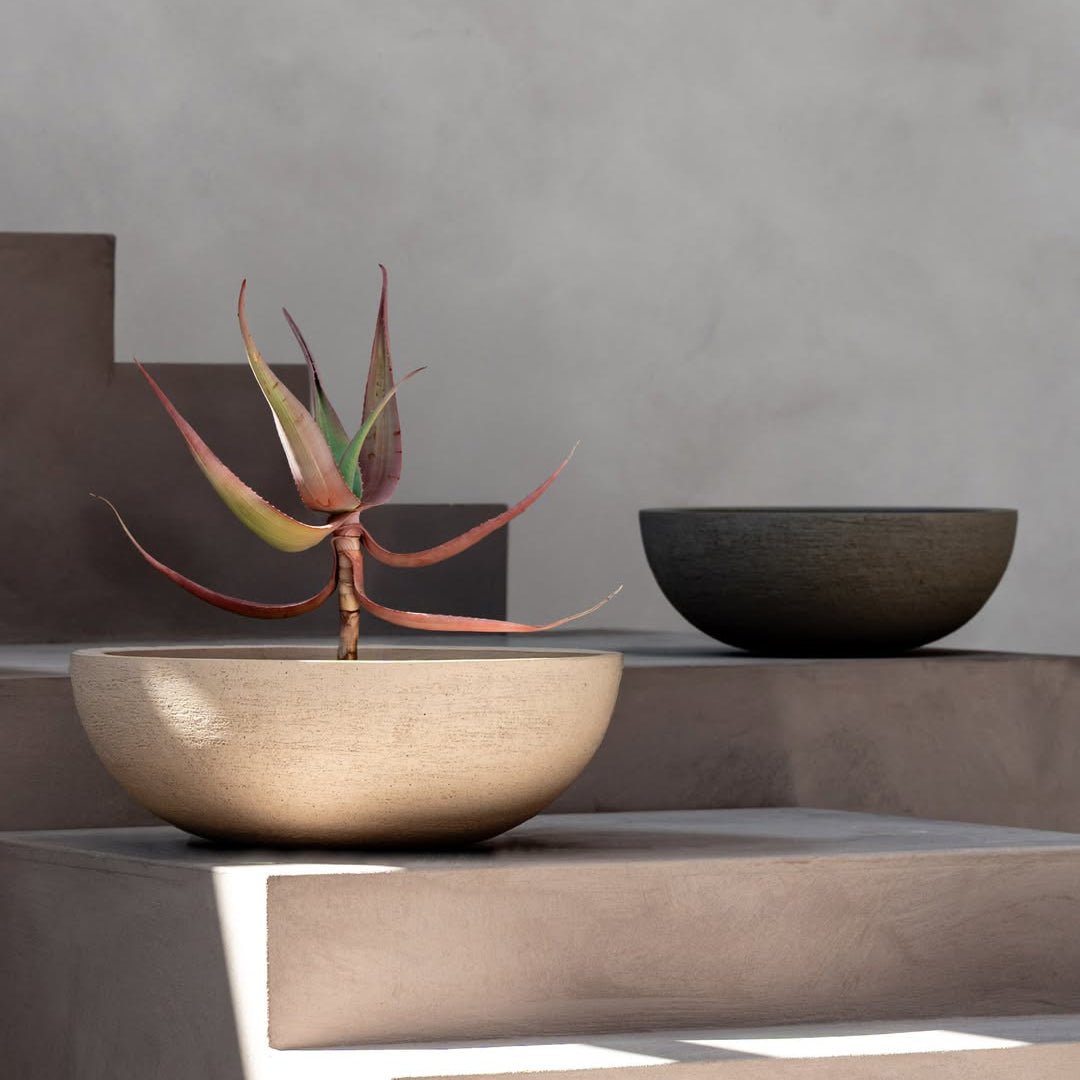 Terreno Bowl - Bostan Al Jazeera