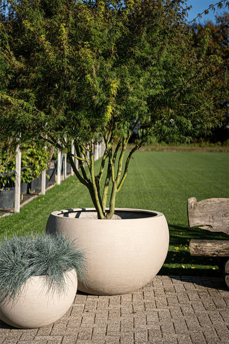 Terreno Elena - Bostan Al Jazeera