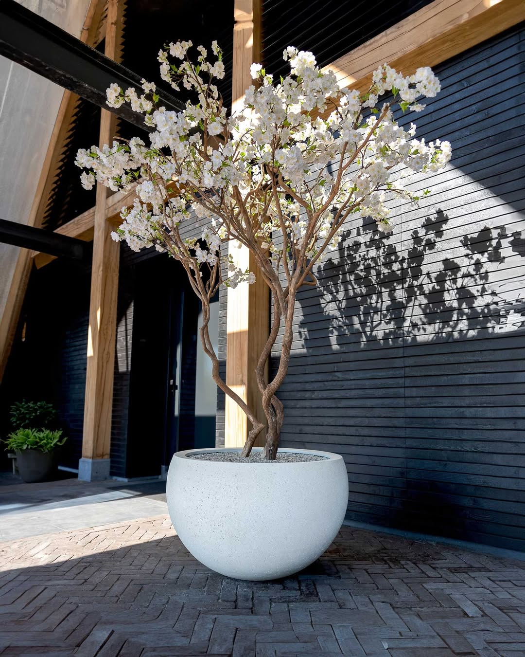 Terreno Elena - Bostan Al Jazeera