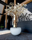 Terreno Elena - Bostan Al Jazeera