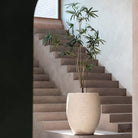 Terreno Tall Balloon - Bostan Al Jazeera