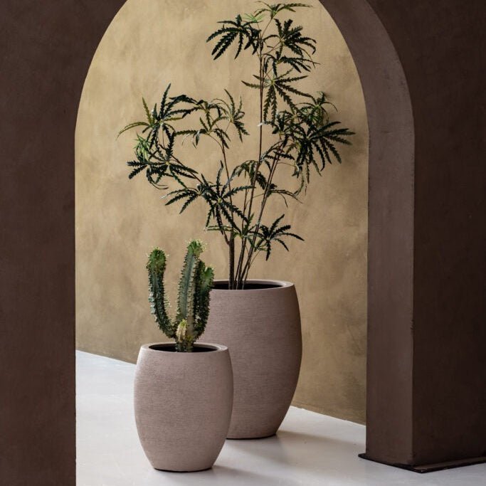 Terreno Tall Balloon - Bostan Al Jazeera