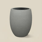 Terreno Tall Balloon - Bostan Al Jazeera