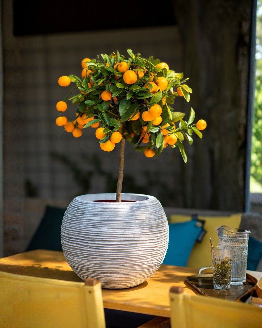 Vase Ball Rib NL - Bostan Al Jazeera