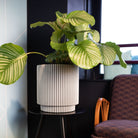 Vase Cylinder Groove NL - Bostan Al Jazeera