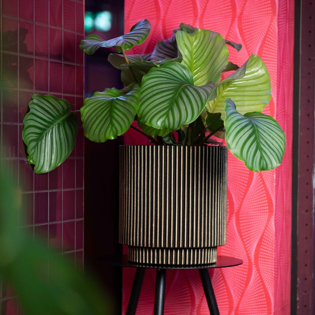 Vase Cylinder Groove NL - Bostan Al Jazeera