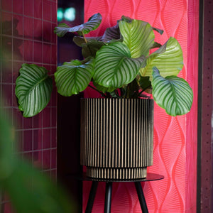 Vase Cylinder Groove NL - Bostan Al Jazeera